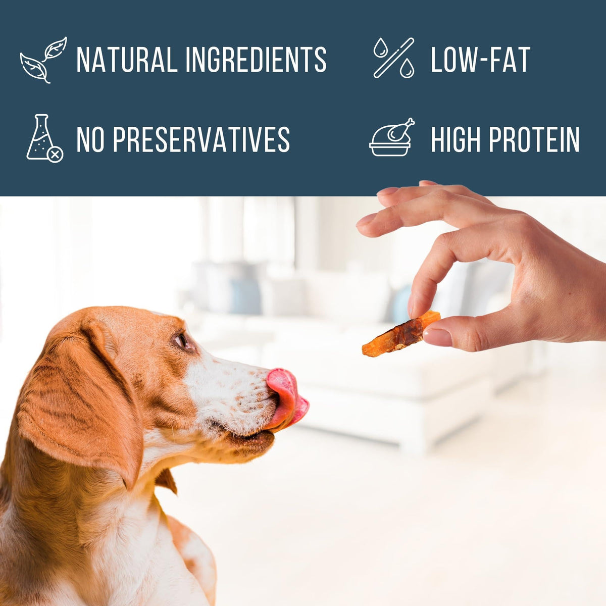 Chicken Jerky Dog Treats 24 oz Human-Grade Grain-Free Sweet Potato – alternate view 4