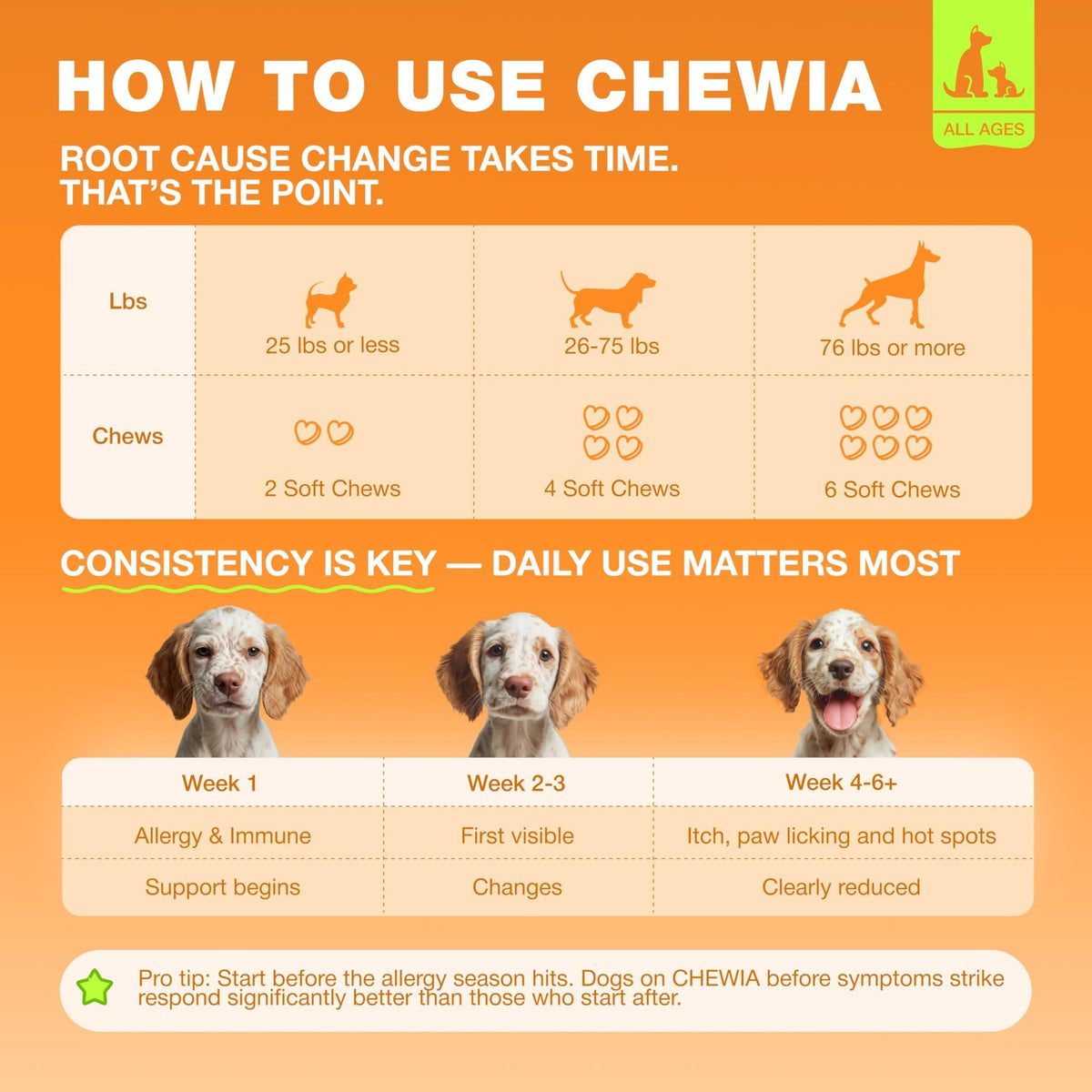 Dog allergy relief chews for itch relief, 180 count, skin and coat support formula