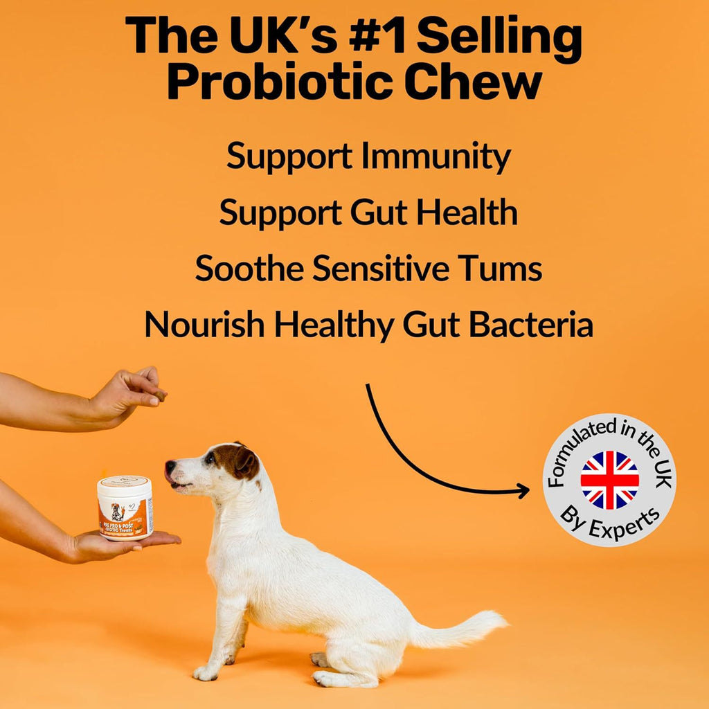 Dog Prebiotic Digestive Snacks – Intestinal Health Support – front view