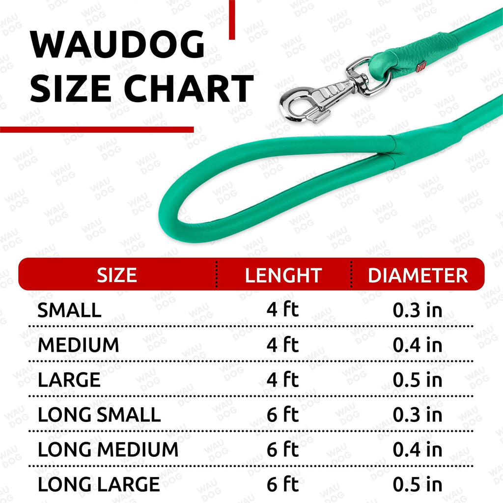 Rolled Leather Dog Leash Glamour Mint 4 ft – photo 6 of 6