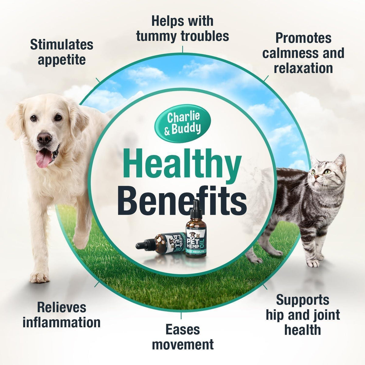Hemp Oil for Dogs & Cats – Calming Support, 2 Pack – alternate view 2