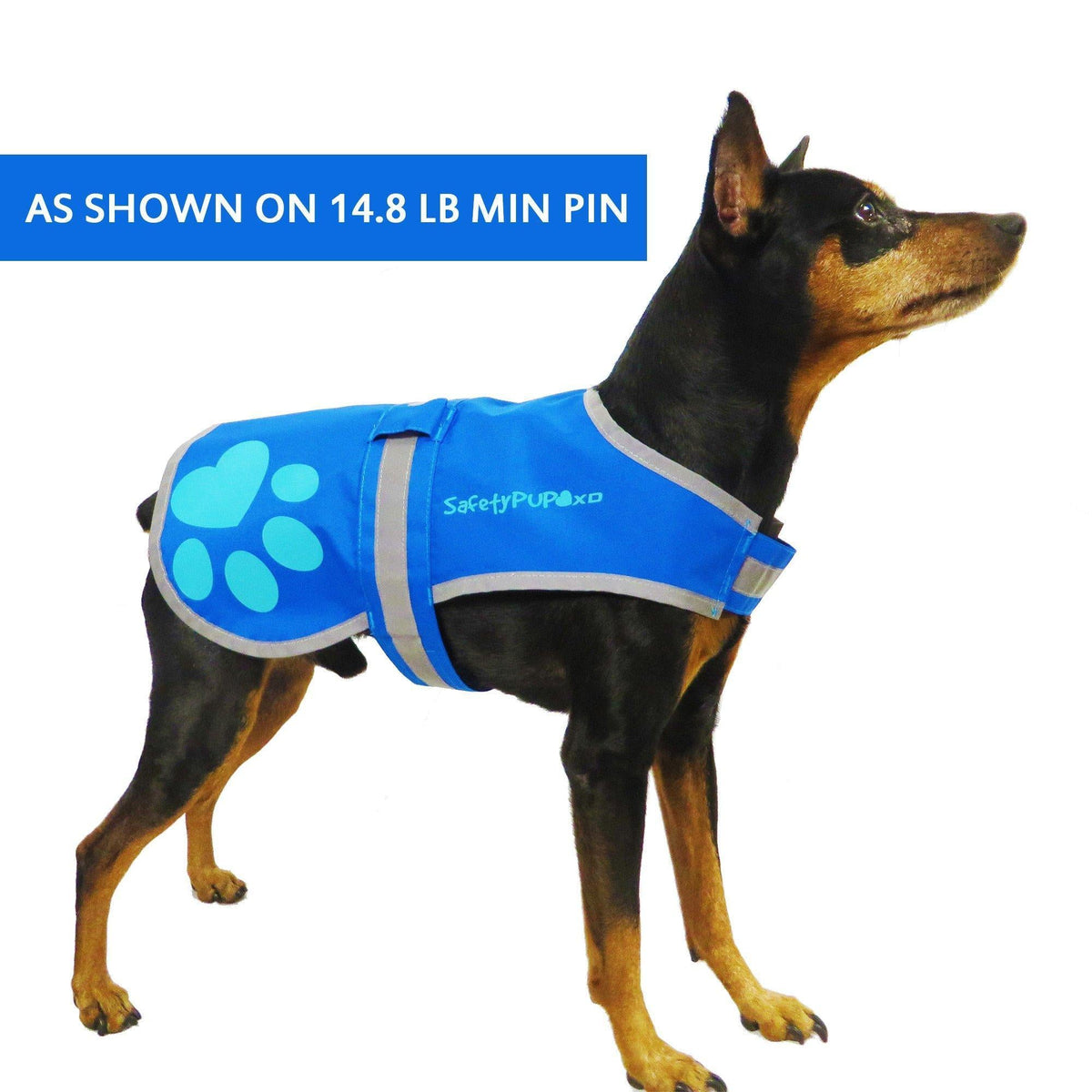 SafetyPUP URBAN Reflective Dog Vest XS Blue – photo 3 of 6