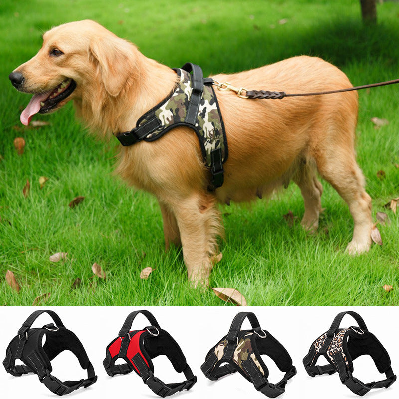 Nylon Dog Collar for Medium and Large Dogs – photo 1 of 13