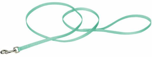 Coastal Pet Single-Ply Nylon Dog Leash Teal 4L x 38W, alternate view