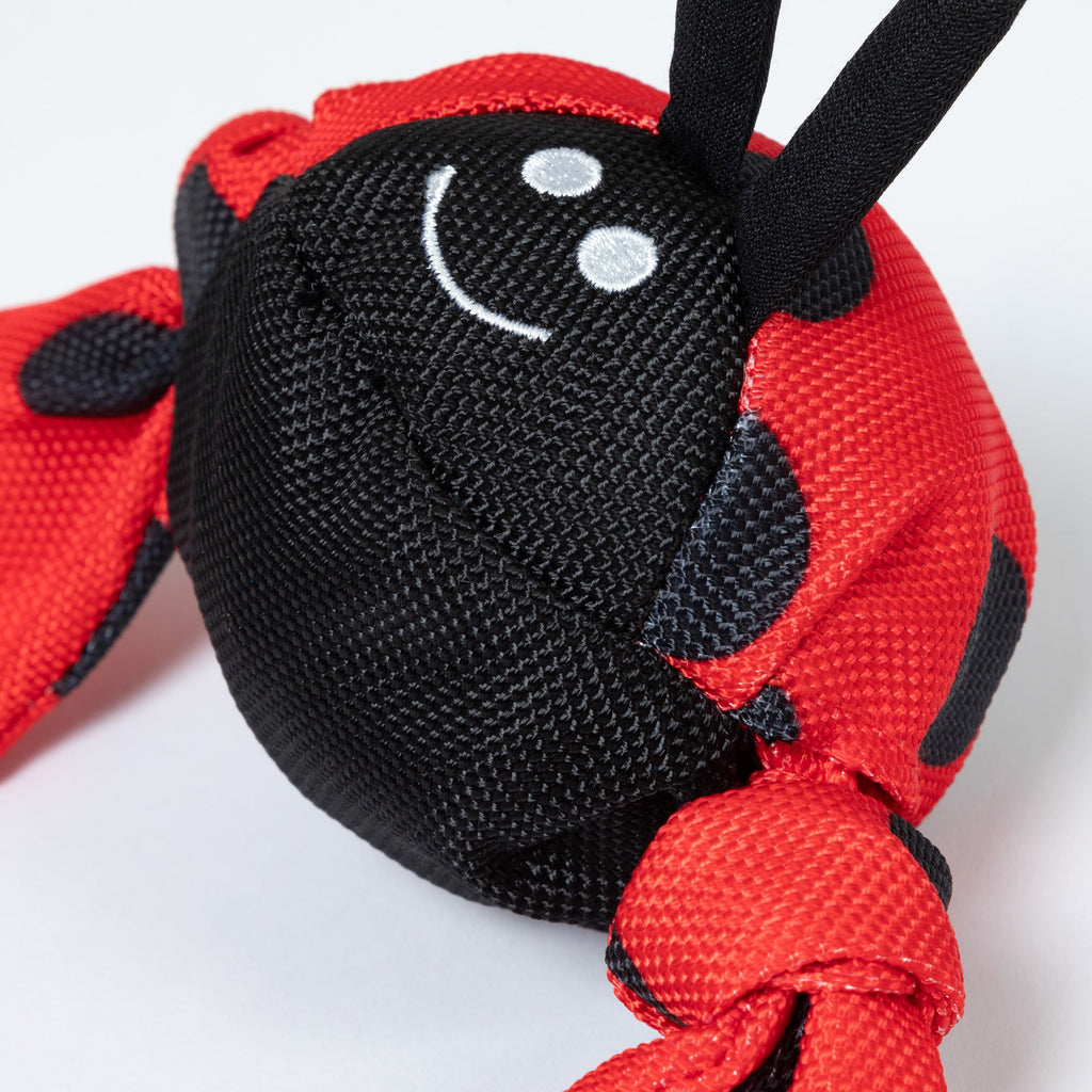 Jolly Pets Jolly Tug Insect Dog Toy Medium – photo 3 of 7