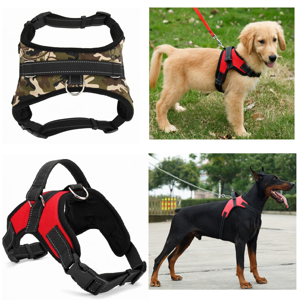 Dog Collar – Medium & Large Dogs – alternate view 5