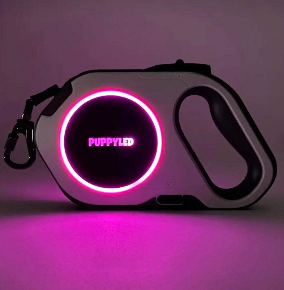 LED Retractable Dog Leash with Flashlight – alternate view 6