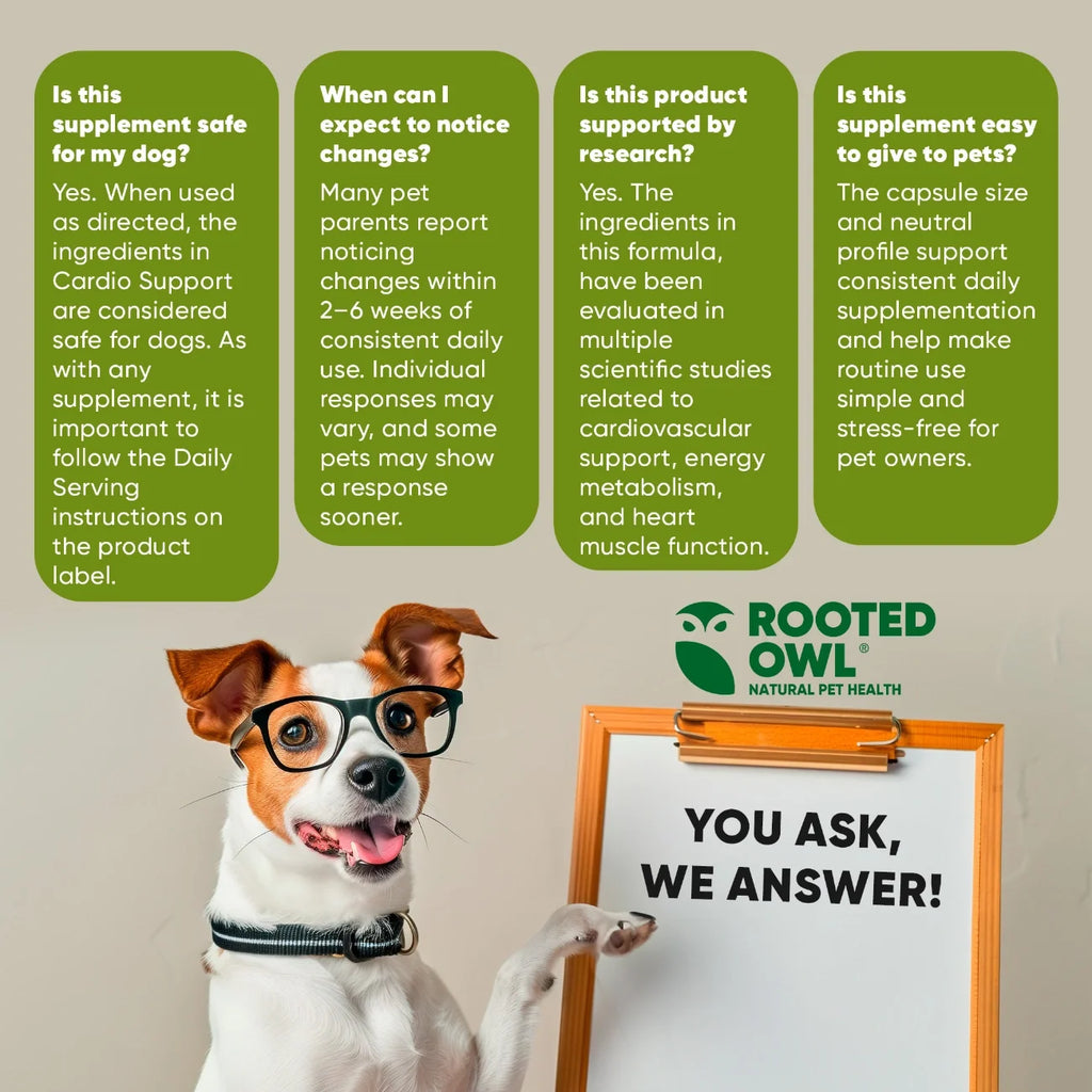 Rooted Owl Cardio Support supplement for dogs – photo 8 of 9