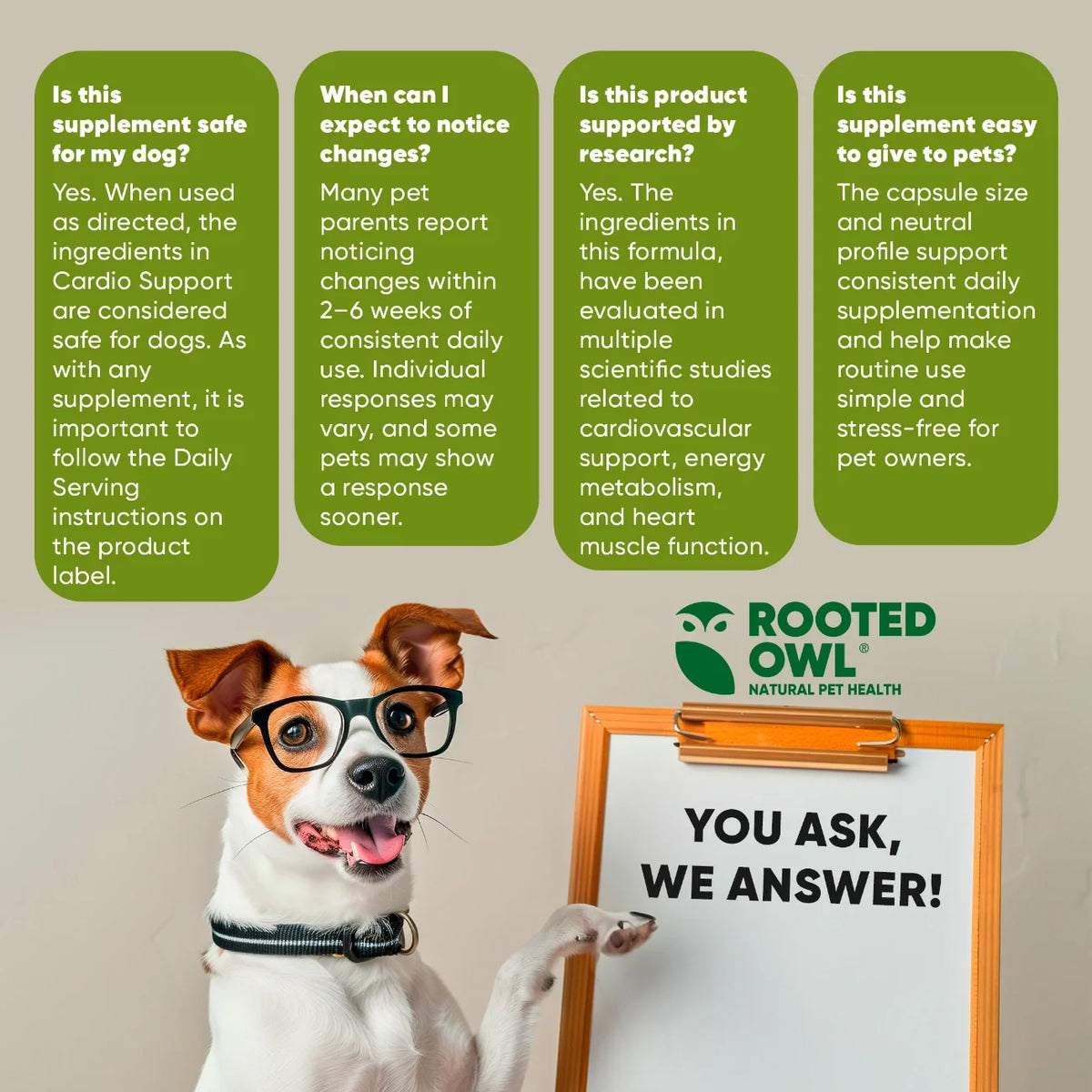 Rooted Owl Cardio Support supplement for dogs – photo 8 of 9