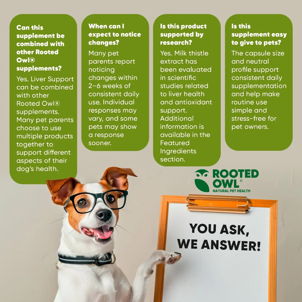Rooted Owl Liver Support supplement for dogs with milk thistle – photo 8 of 9