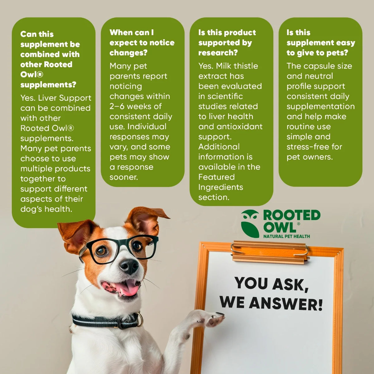 Rooted Owl Liver Support supplement for dogs with milk thistle – photo 8 of 9