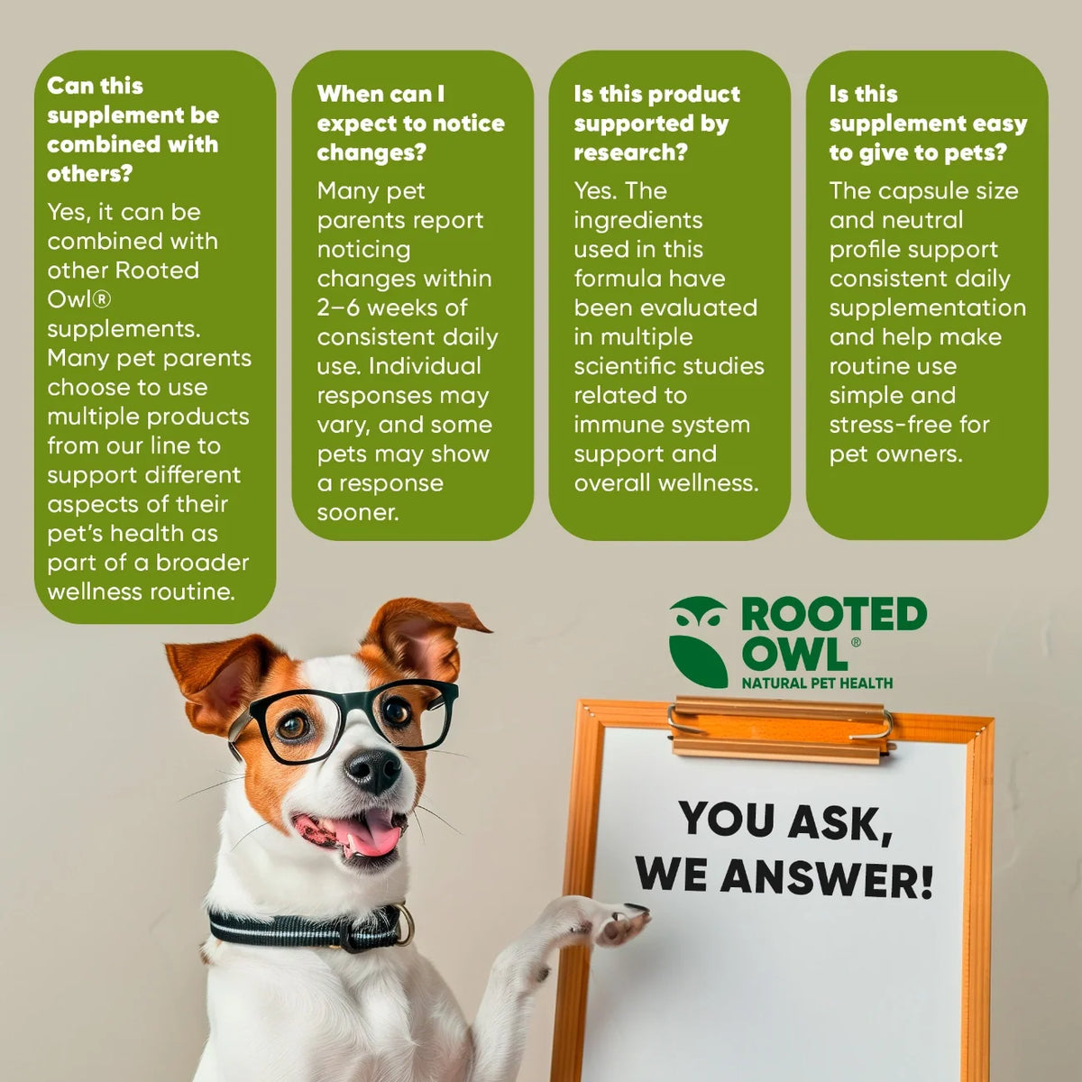 Rooted Owl Natural Immunity mushroom supplement for dogs and cats – photo 8 of 10