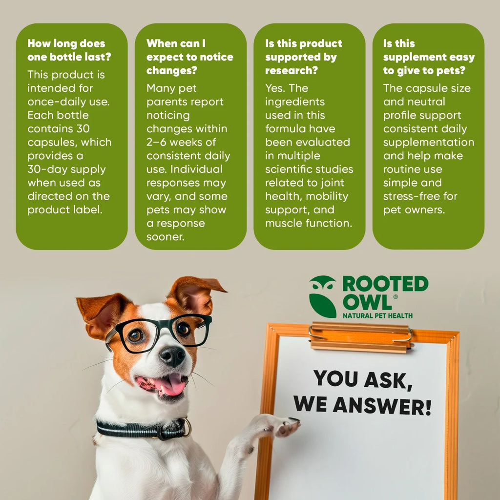 Rooted Owl Joint & Muscle Health capsules with UC-II collagen for medium and large dogs – photo 8 of 9