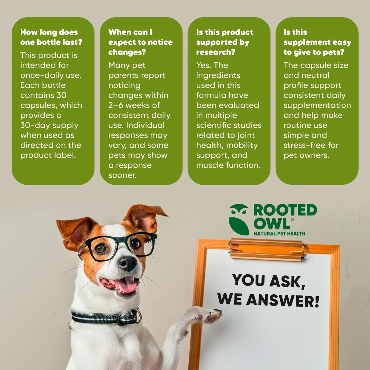 Rooted Owl Joint & Muscle Health capsules with UC-II collagen for medium and large dogs – photo 8 of 9
