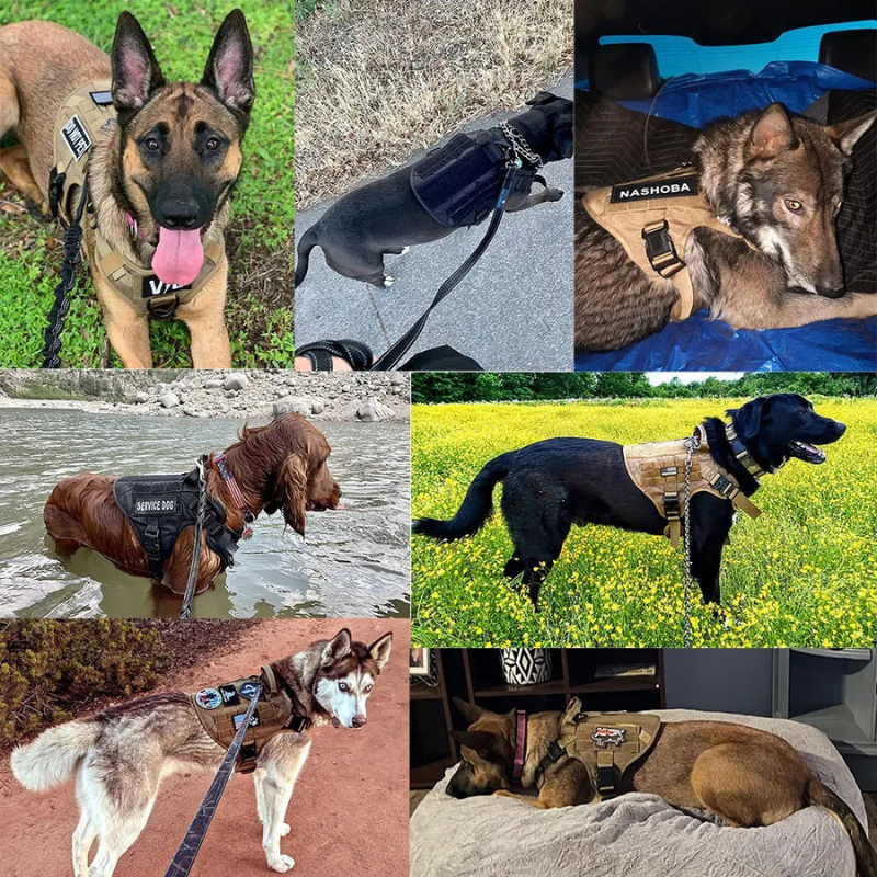 Large Dog Harness & Leash Set – Training Vest for Big Breeds – alternate view 12