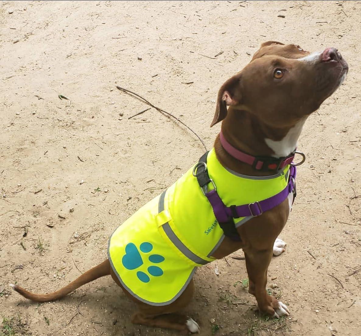 SafetyPUP URBAN Reflective Dog Safety Vest XL Neon Yellow – photo 5 of 6