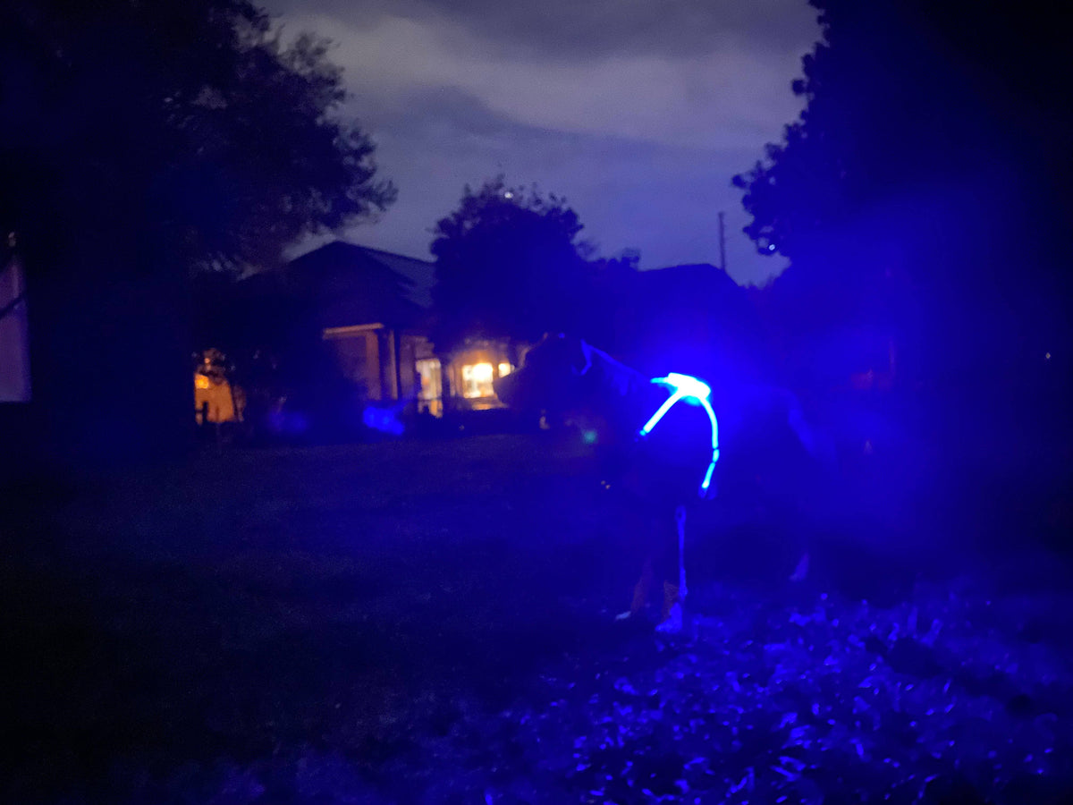 LED Dog Harness – alternate view 10