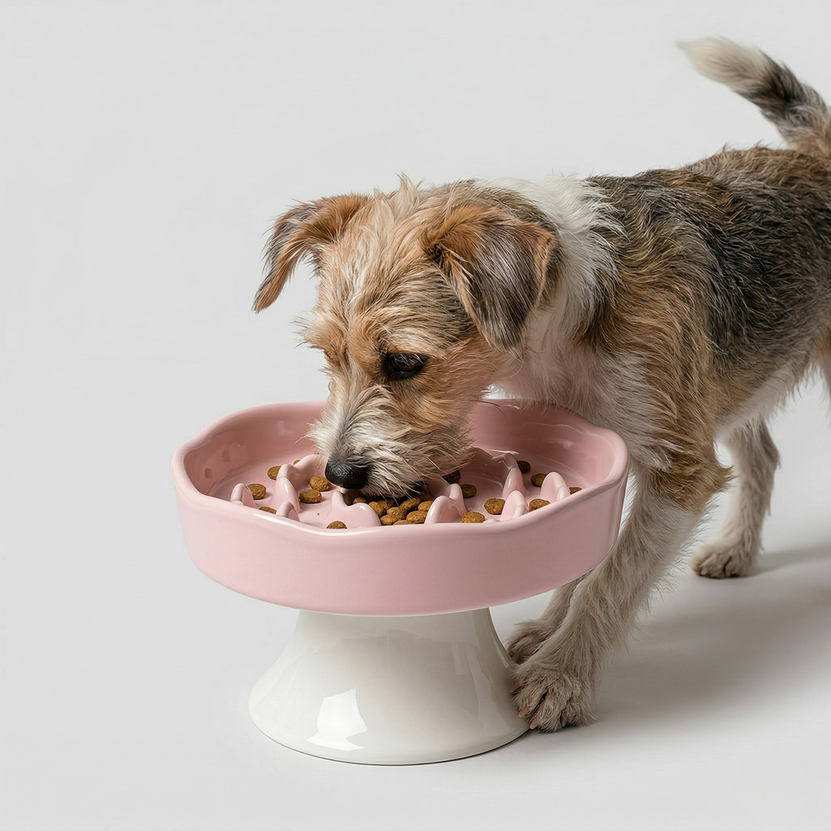 Ceramic Elevated Slow Feeder Bowl for Dogs & Cats – alternate view 10