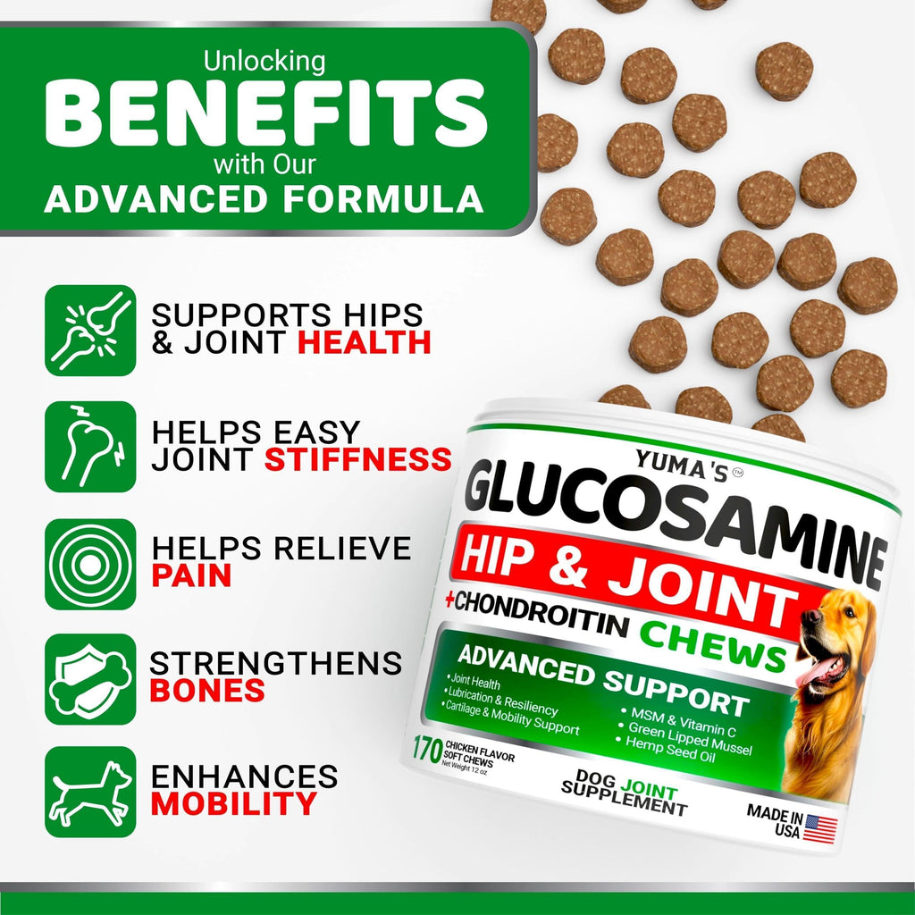 Glucosamine and chondroitin hip and joint supplement chews for dogs – 170 count – photo 4 of 6