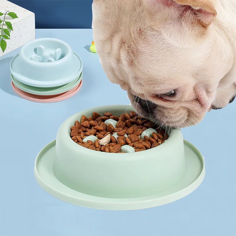 Slow Feeder Bowl for Dogs & Cats – Interactive Anti-Choking Dish – alternate view 8
