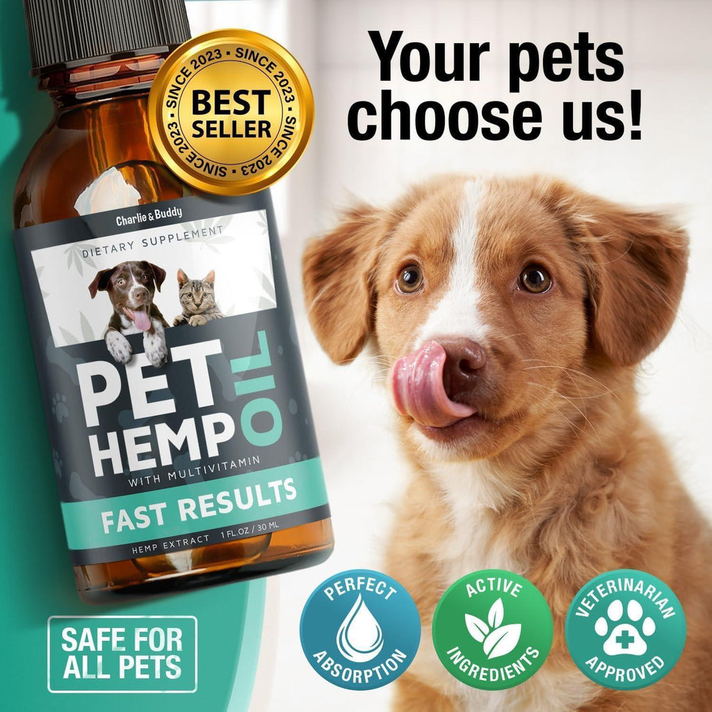 Hemp Oil for Dogs & Cats – Calming Support, 2 Pack – alternate view 3