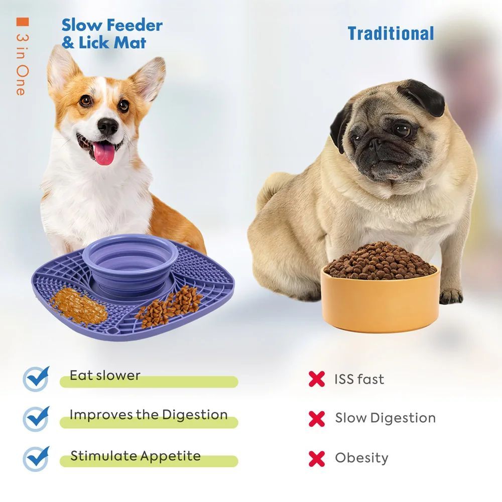 Slow Feeder Puzzle Bowl for Dogs – Non-Slip Anti-Gulping Dish – alternate view 3