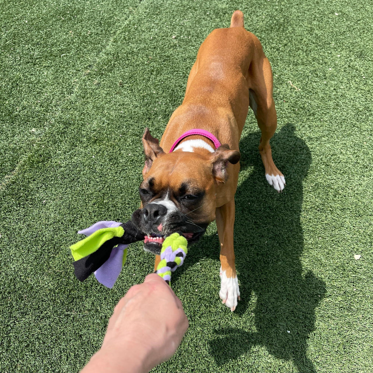 Interactive Fleece Tug Toy for Dogs Lavender – photo 8 of 9