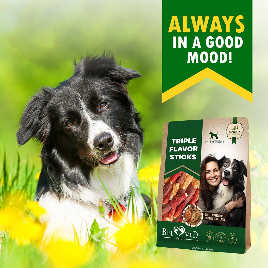 Rawhide Treats for Dogs Duck and Chicken Triple-Flavor Twists – photo 8 of 8