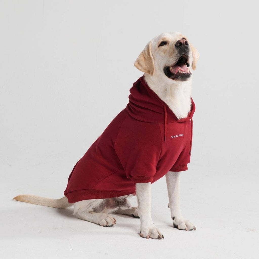 Essential Dog Hoodie - Burgundy – alternate view 4