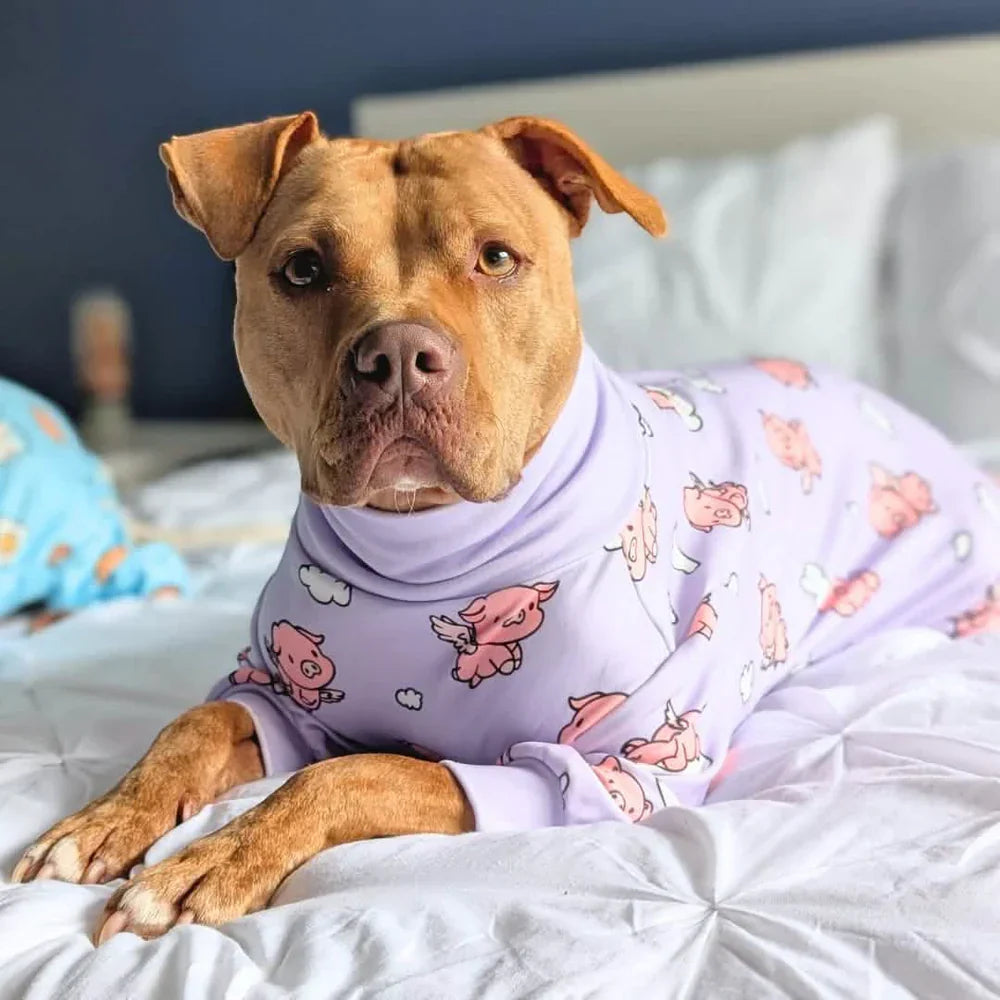When Pigs Fly Dog Pajama – alternate view 6