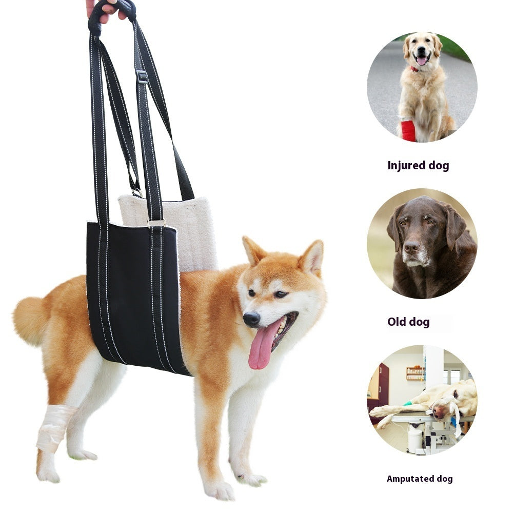 Adjustable Dog Rehabilitation Support Belt – Elderly & Disabled Pets – alternate view 2