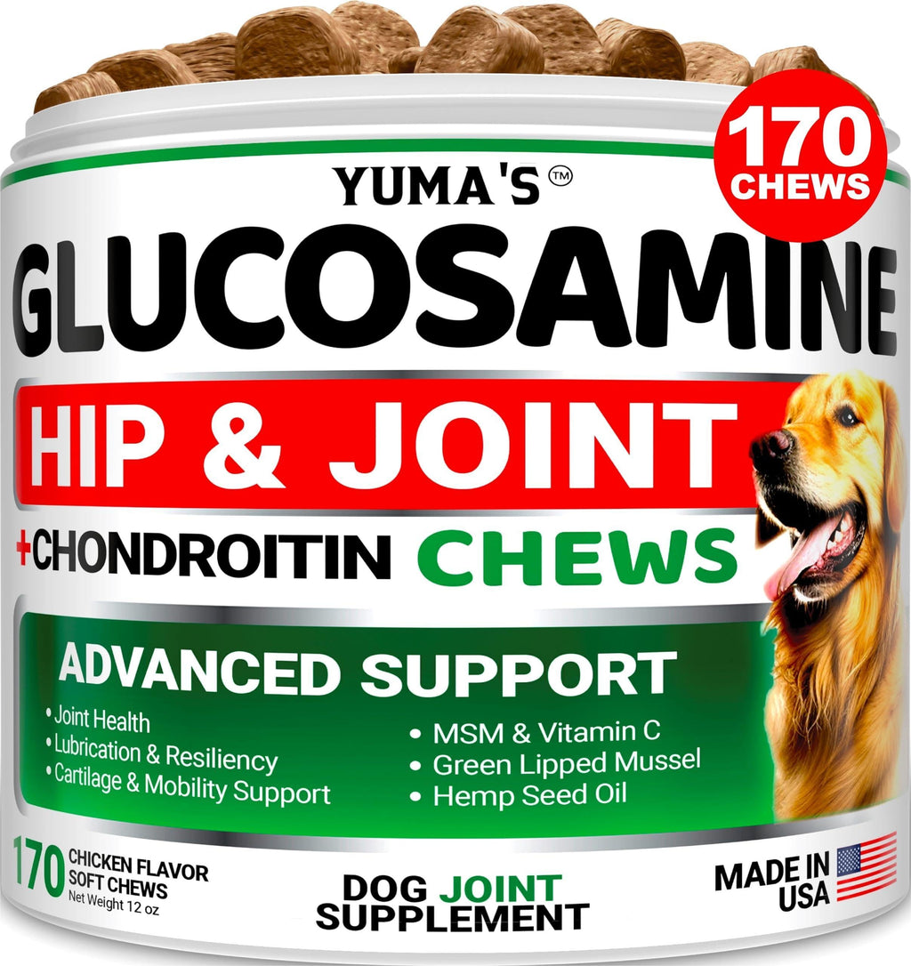 Glucosamine and chondroitin hip and joint supplement chews for dogs – 170 count – photo 1 of 6