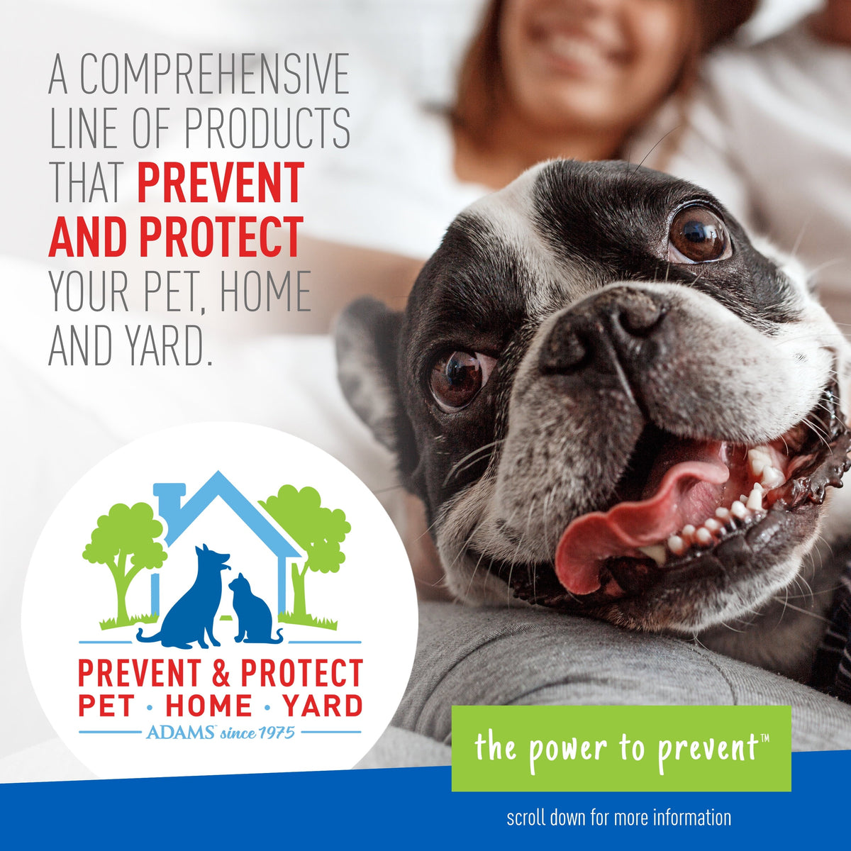Keep Your Dog Happy and Flea-Free with Adams Plus Flea  Tick Foaming S, close-up