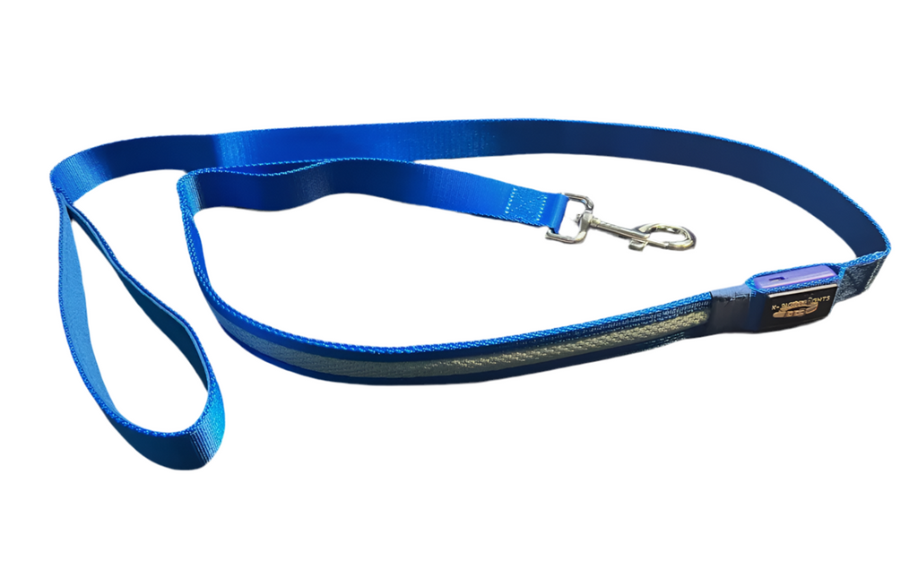 Light Up LED Dog Leash: Blue – alternate view 6