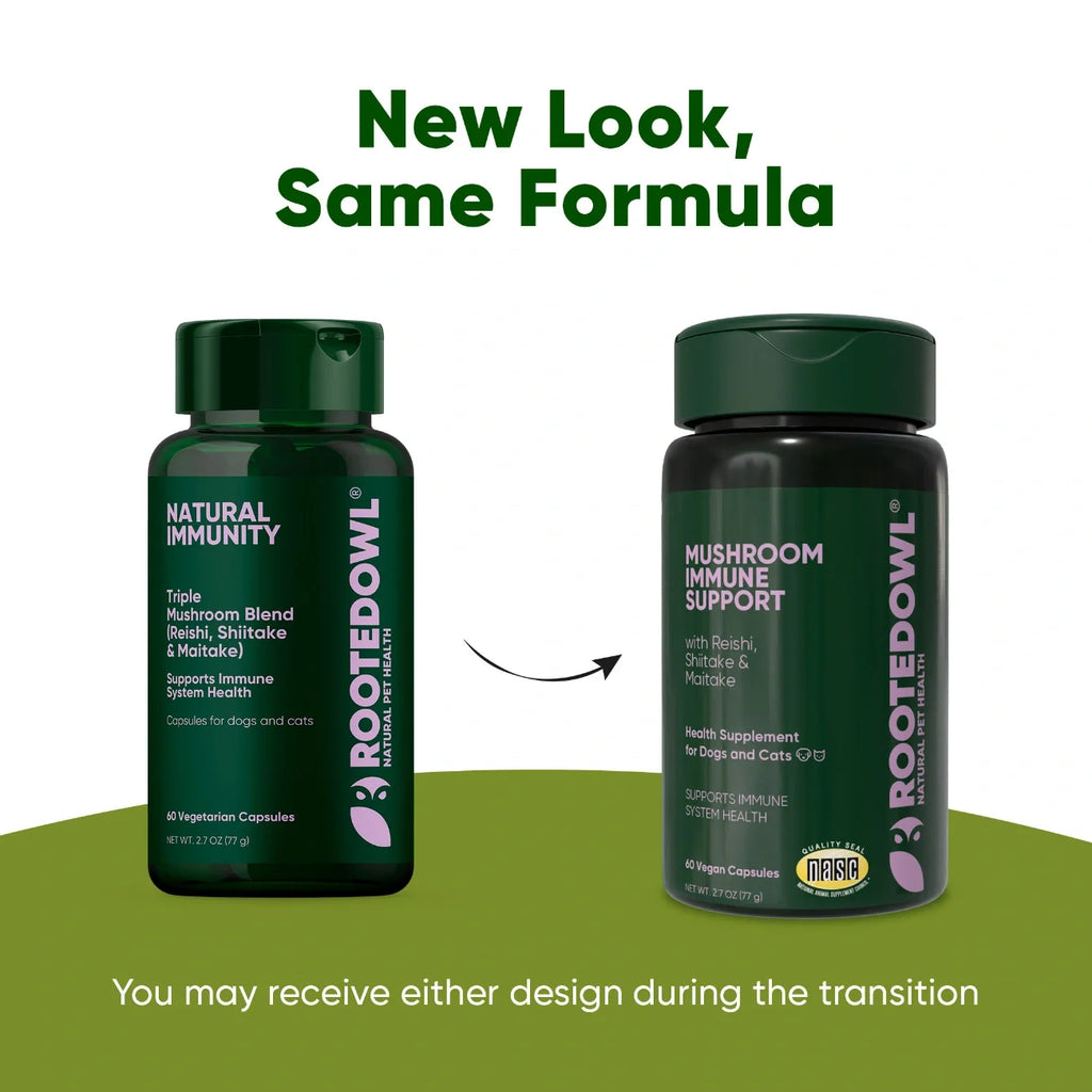 Rooted Owl Natural Immunity mushroom supplement for dogs and cats – photo 9 of 10
