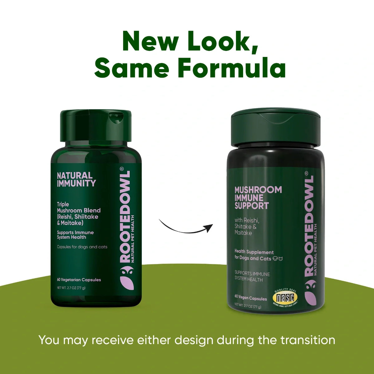 Rooted Owl Natural Immunity mushroom supplement for dogs and cats – photo 9 of 10