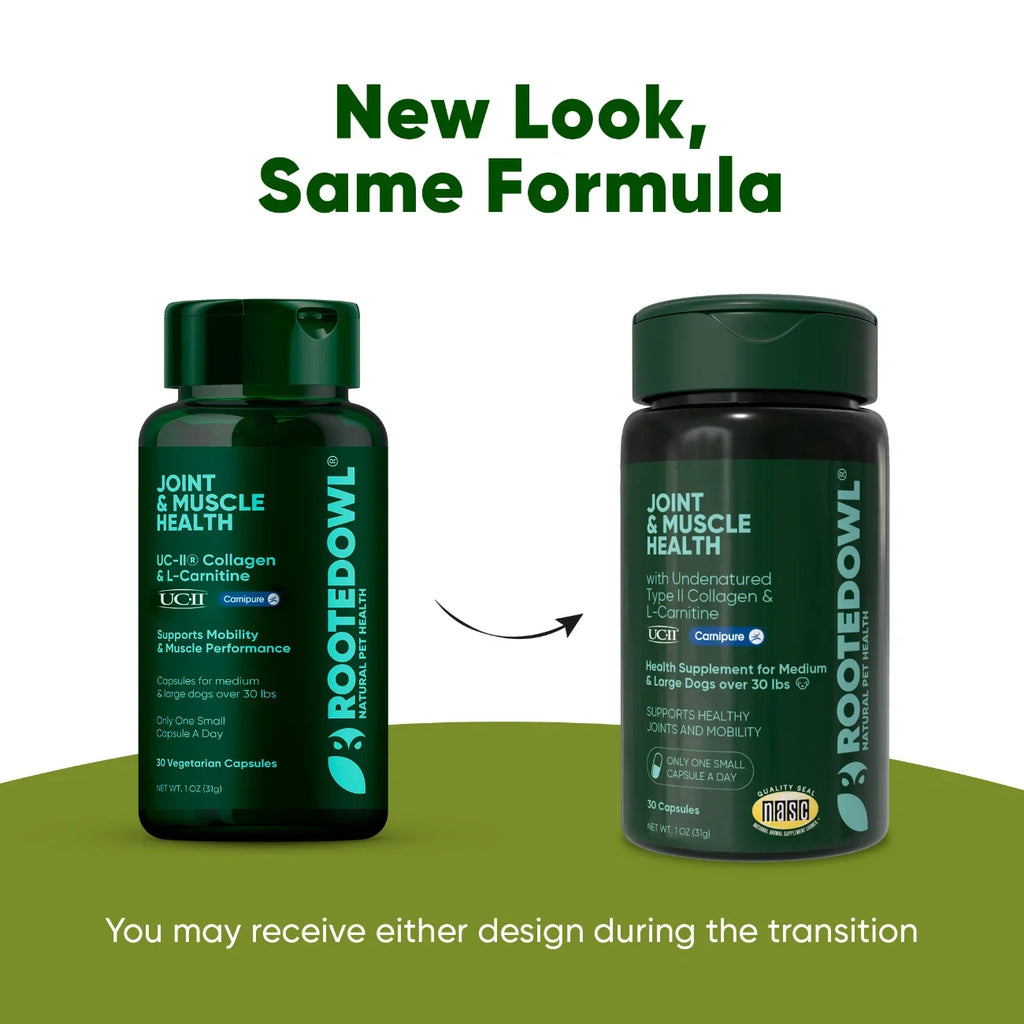 Rooted Owl Joint & Muscle Health capsules with UC-II collagen for medium and large dogs – photo 9 of 9