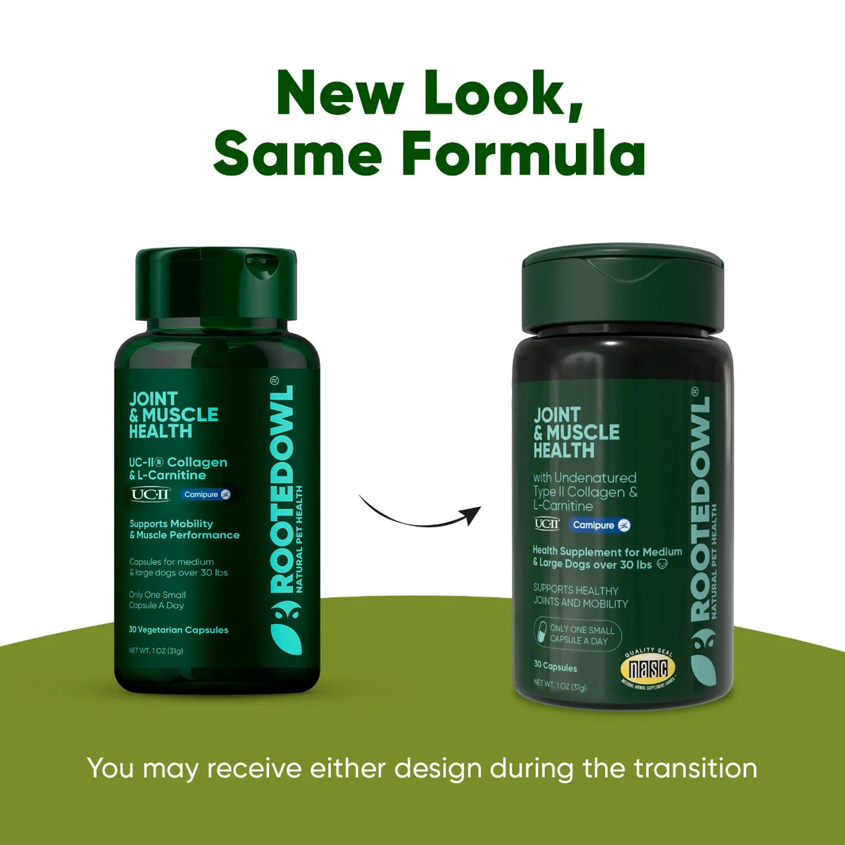 Rooted Owl Joint & Muscle Health capsules with UC-II collagen for medium and large dogs – photo 9 of 9