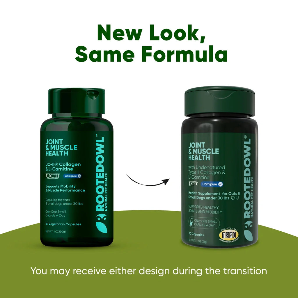 Rooted Owl Joint & Muscle Health capsules with UC-II collagen for small dogs under 30 lb – photo 9 of 9