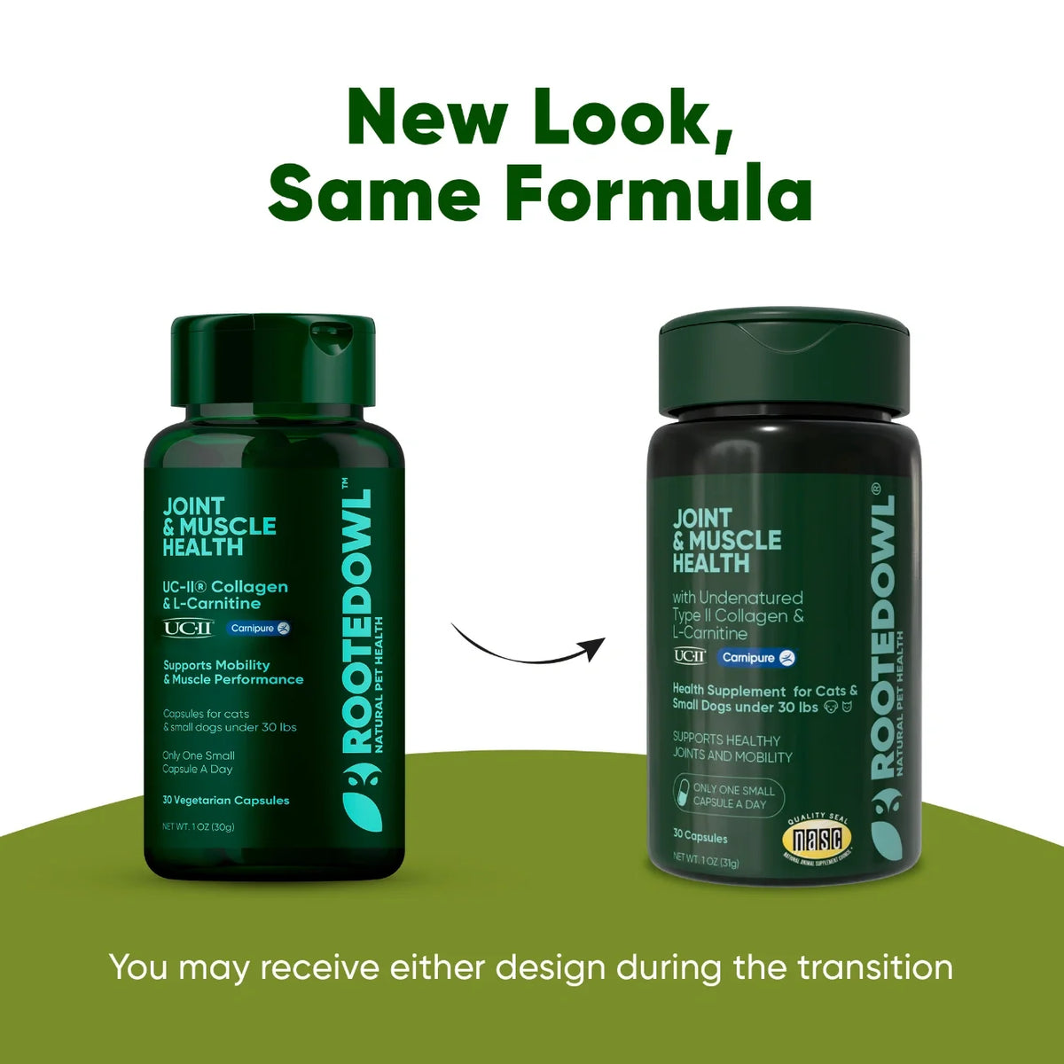 Rooted Owl Joint & Muscle Health capsules with UC-II collagen for small dogs under 30 lb – photo 9 of 9