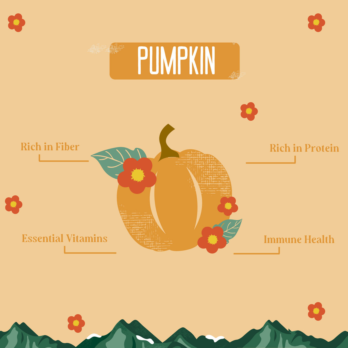 Pumpkin Yak Chews for Dogs – alternate view 3