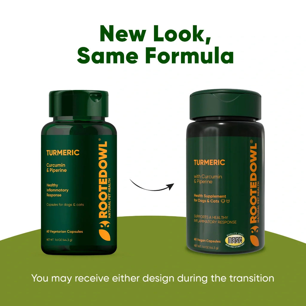 Rooted Owl Turmeric supplement with curcumin and black pepper – photo 9 of 9