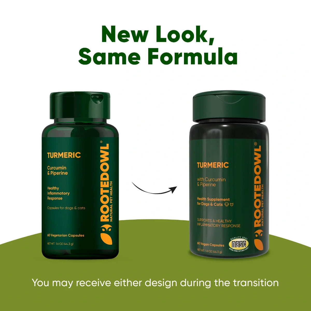 Rooted Owl Turmeric supplement with curcumin and black pepper – photo 9 of 9