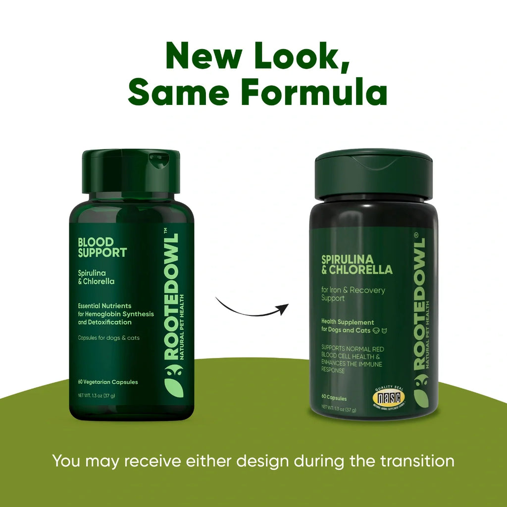 Rooted Owl Spirulina and Chlorella supplement capsules – photo 9 of 9