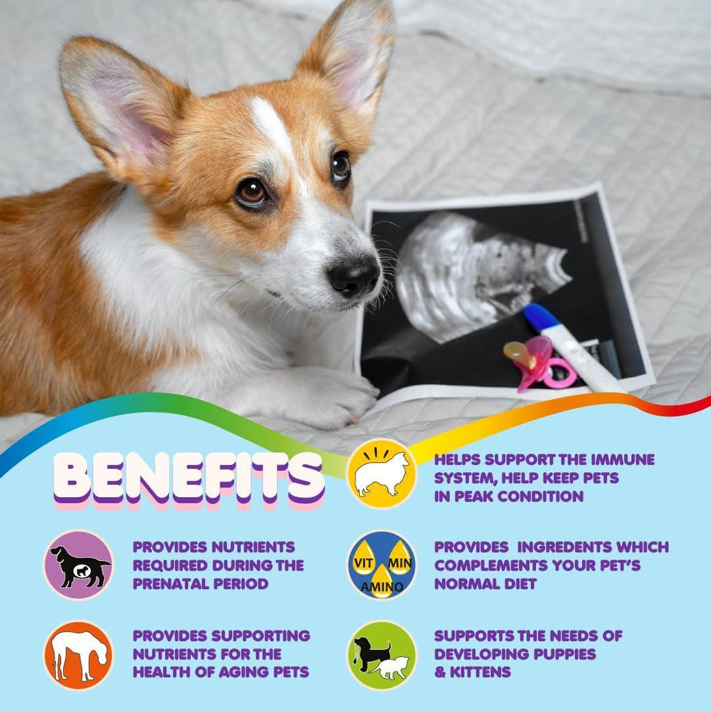 Prenatal Vitamins for Dogs and Cats 60 Pills Folic Acid – photo 4 of 8