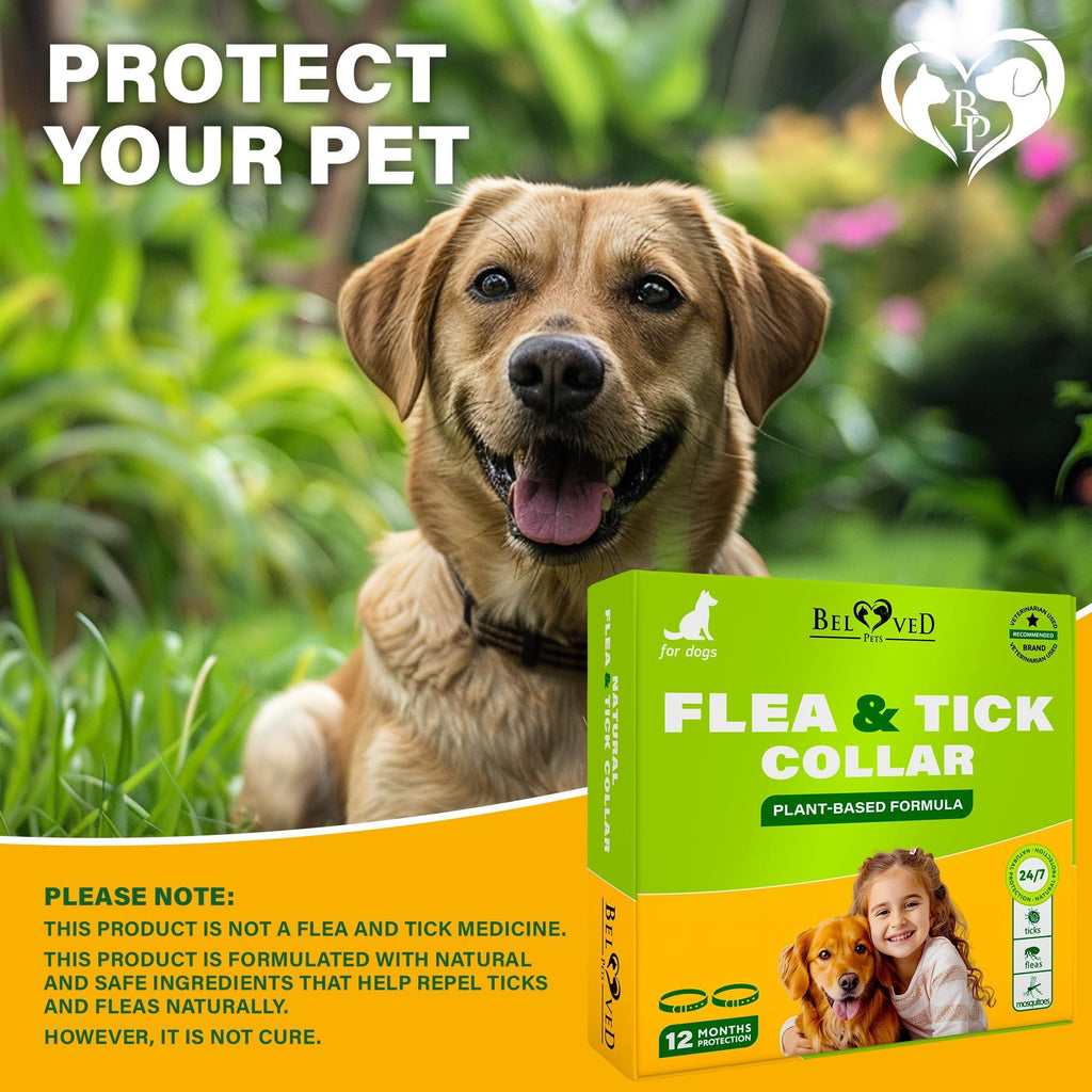 Flea and Tick Collar for Dogs Essential Oil Waterproof 2 Count – photo 8 of 8