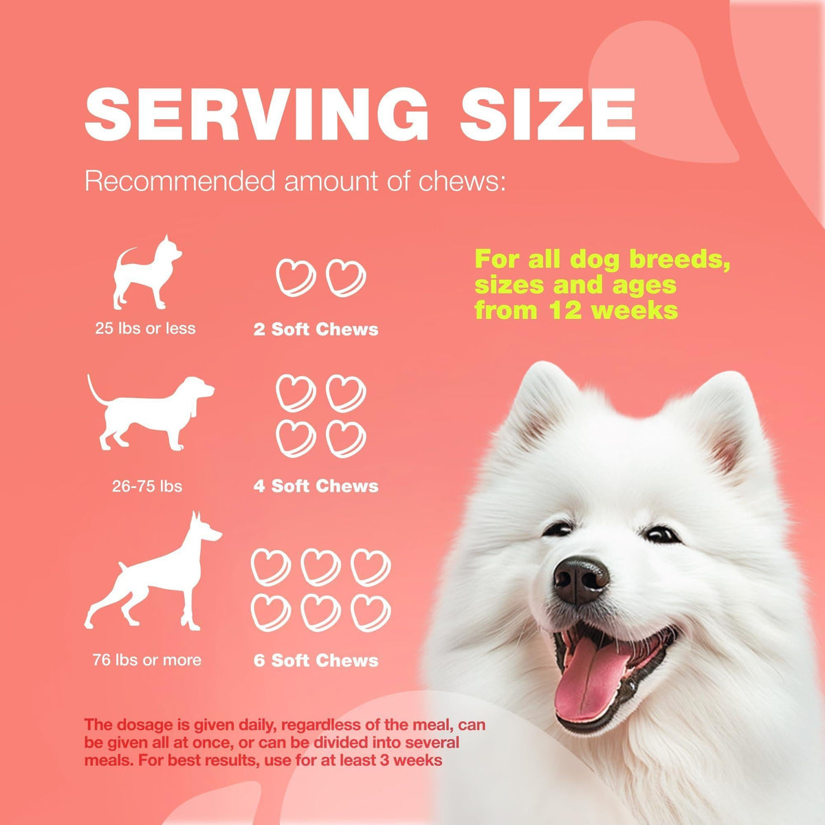 Flea and Tick Support Chews for Dogs Natural Soft Chews – photo 9 of 9