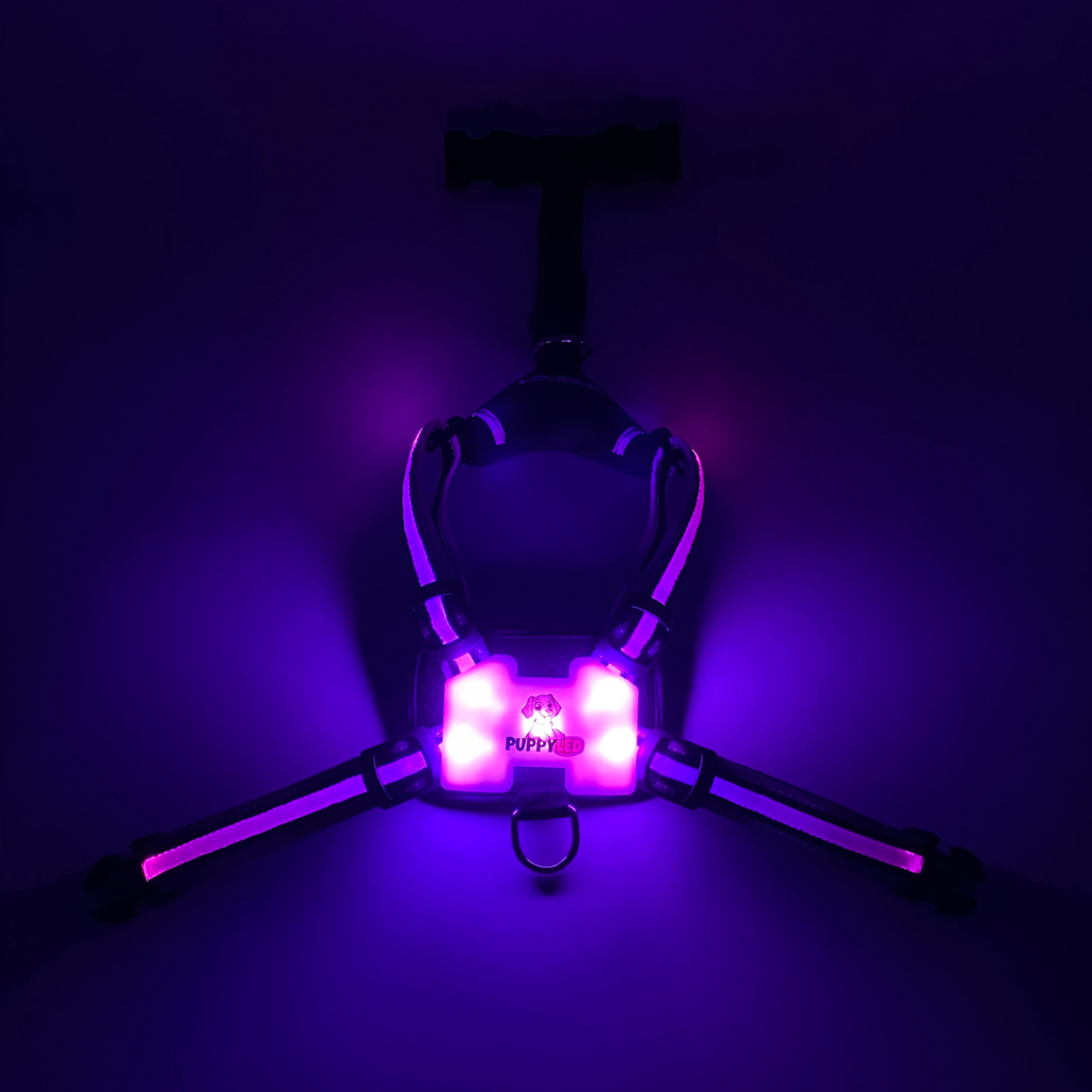 LED Dog Harness – alternate view 16