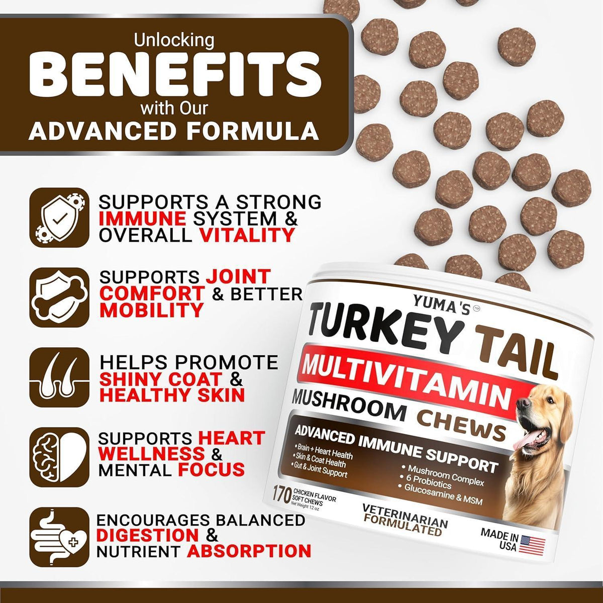 Turkey Tail mushroom blend supplement chews for dogs – photo 2 of 5