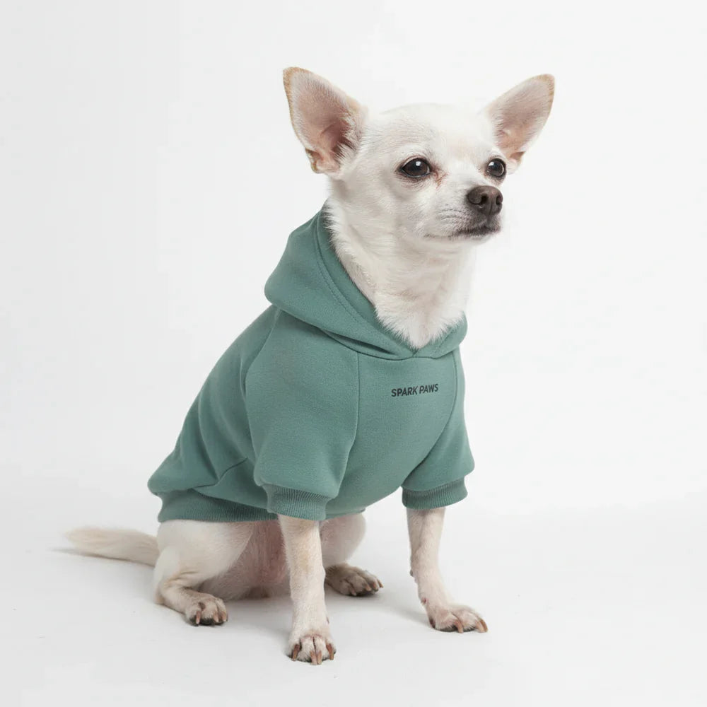 Essential Dog Hoodie - Teal – alternate view 5